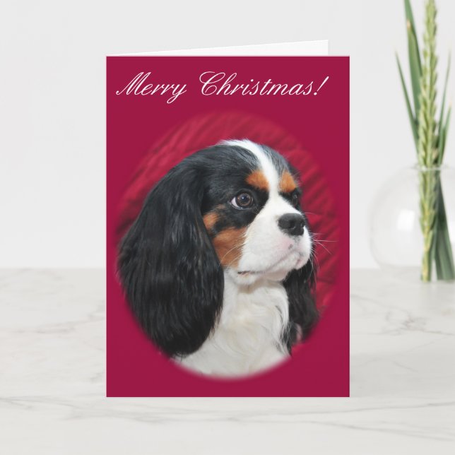 Cavalier King Charles Tri-Colour Christmas Card (Front)