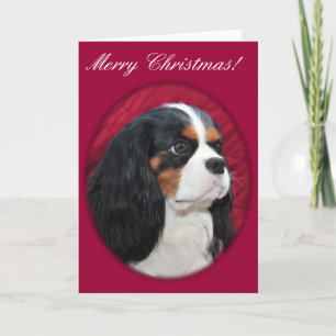Cavalier King Charles Tri-Colour Christmas Card