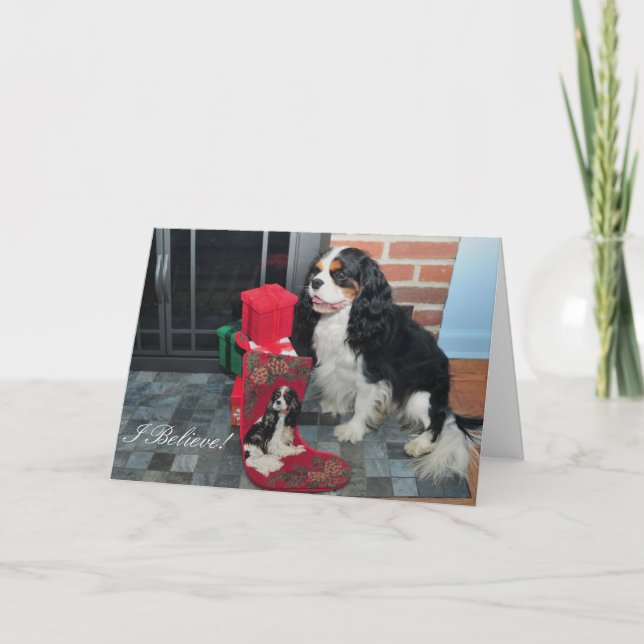 Cavalier King Charles Tri-Colour Christmas Card (Front)