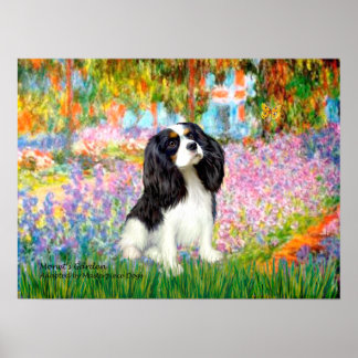 Cavalier King Charles (tri colour) - Garden Poster