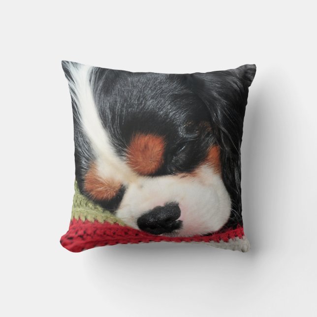 Cavalier King Charles Tri-Colour Pillow (Front)