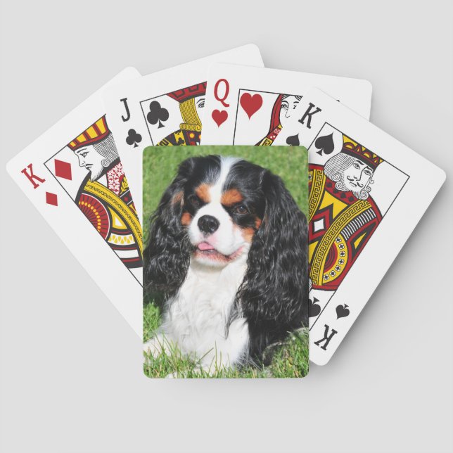 Cavalier King Charles Tri-Colour Playing Cards (Back)