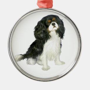 Cavalier King Charles - Tri Coloured Metal Ornament