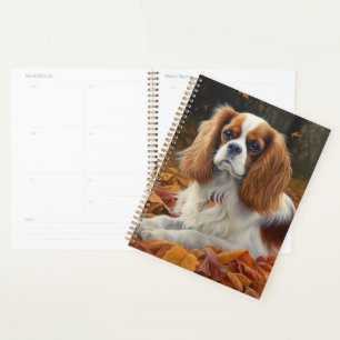 Cavalier King en automne Feuilles automne Inspirat