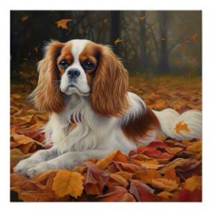 Cavalier King in Autumn Leaves Fall Inspire Poster