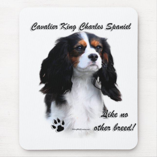 Cavalier Like No Other Breed Mouse Pad (Front)