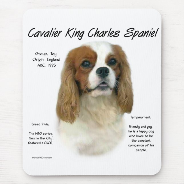 Cavalier Like No Other Breed Mouse Pad (Front)