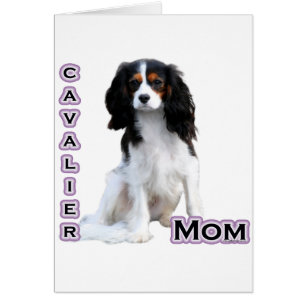 Cavalier Mom 4