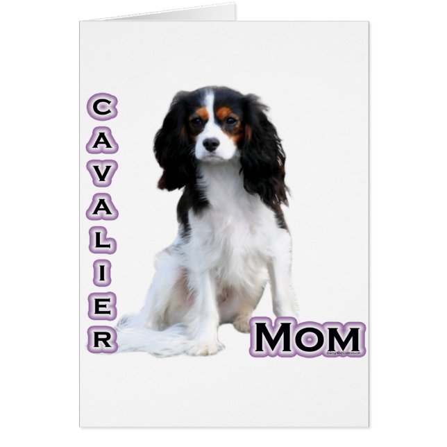 Cavalier Mom 4 (Front)