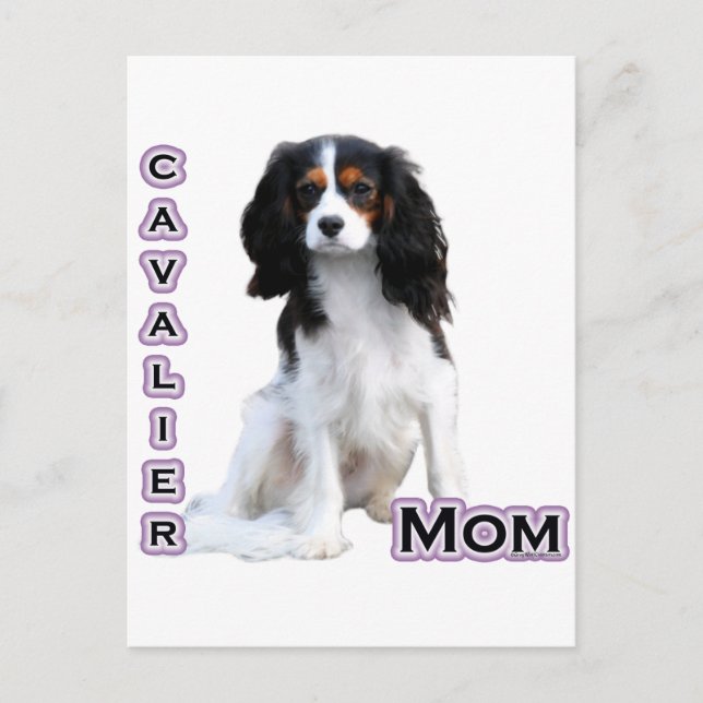 Cavalier Mom 4 Postcard (Front)