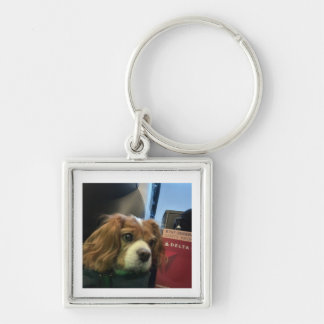 Cavalier Pet Keychain