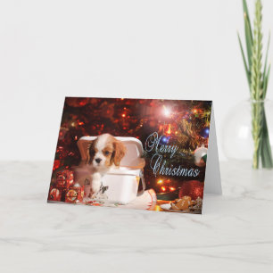 Cavalier puppy Christmas Card