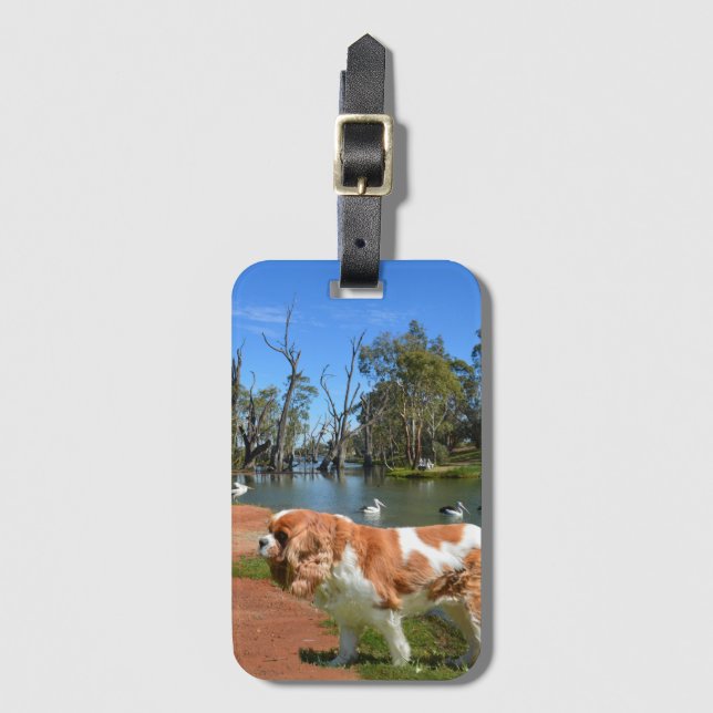 Cavalier Spaniel And Pelicans,   Luggage Tag (Front Vertical)
