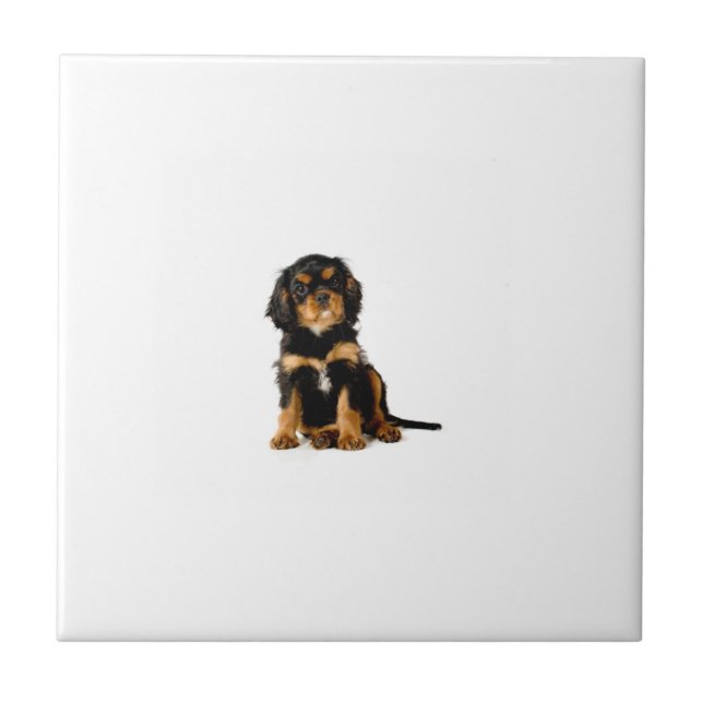 Cavalier Spaniel Black & Tan Tile (Front)