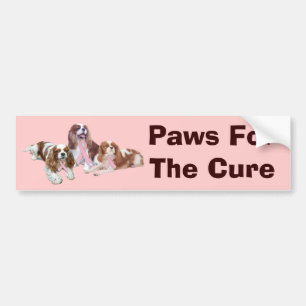 Cavalier Spaniel Breast Cancer Bumper Sticker