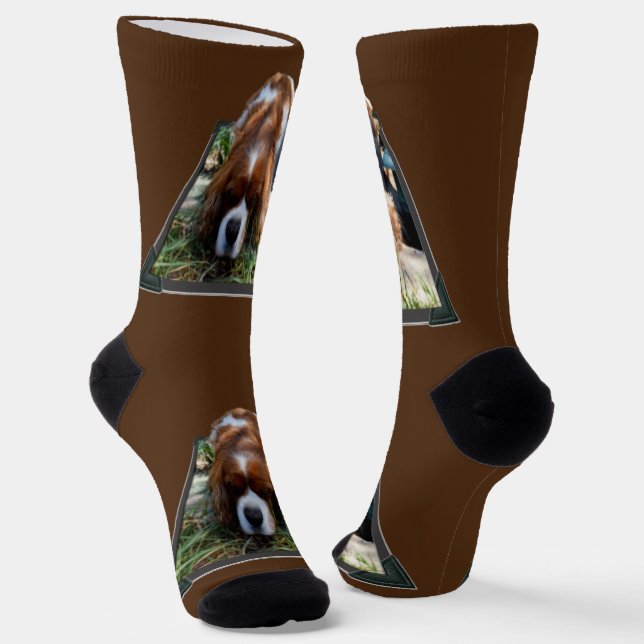 Cavalier Spaniel Popout Art, Crew Socks (Angled)