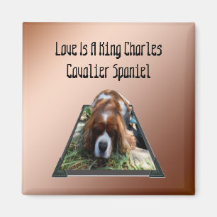 Cavalier Spaniel Popout Art, Frigo Magnet