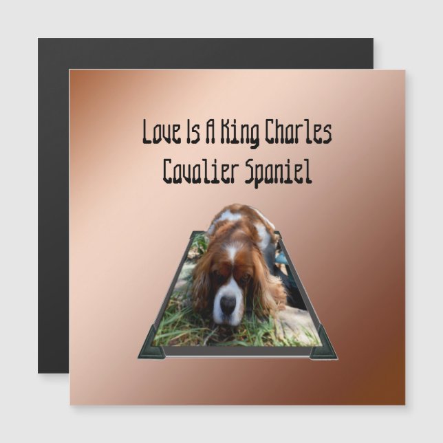Cavalier Spaniel Popout Art, Magnetic Card (Front/Back)