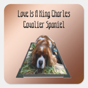 Cavalier Spaniel Popout Art, Stickers