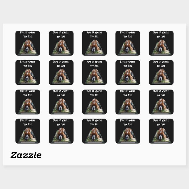Cavalier Spaniel, Stickers Carrés (Feuille)