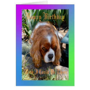 Cavalier Spaniel Wish I Could Be There Burthday