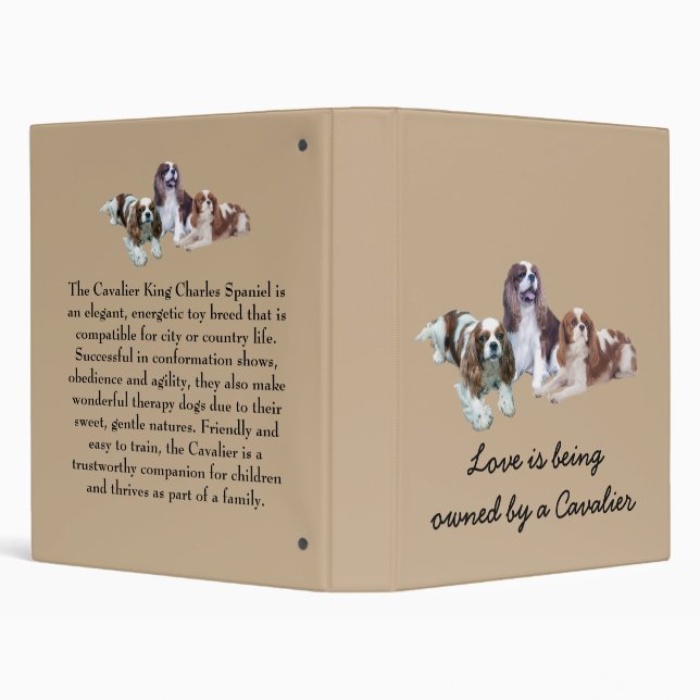 Cavalier Threesome Binder (Background)