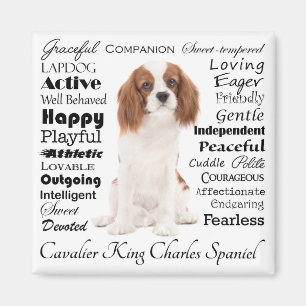 Cavalier Traits Magnet