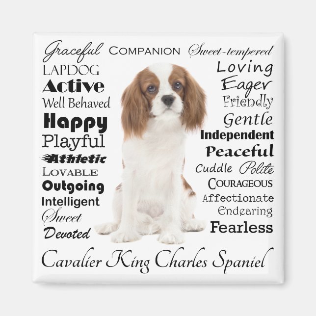 Cavalier Traits Magnet (Front)