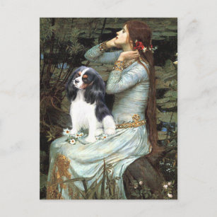 Cavalier (Tri6) - Ophelia Seated Postcard