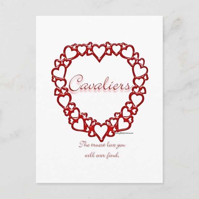 Cavalier True Love Postcard (Front)