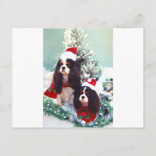 Cavaliers at Christmas Holiday Postcard