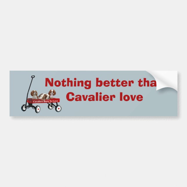 Cavaliers In Wagon Bumper Sticker (Front)
