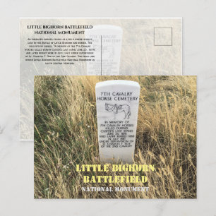 Cavalry Horses Burial Marker, Little Bighorn, MT Postcard