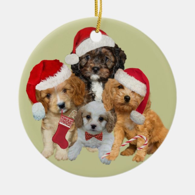 Cavapoo l'a laissé neiger ornement (Devant)