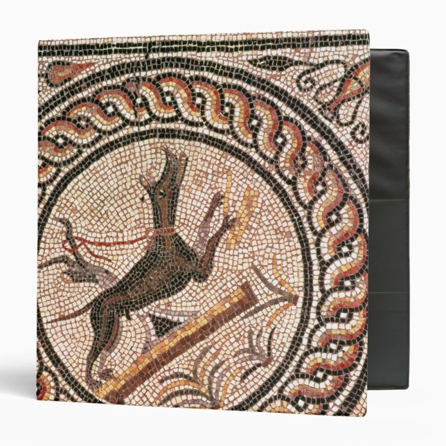 Cave Canem  2nd-3rd century Binder (Front/Inside)
