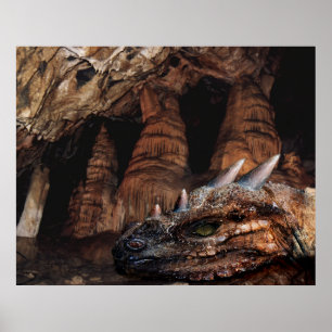 Cave Dragon Poster