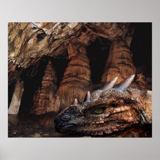 Cave Dragon Poster (Front)