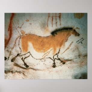 Cave drawings Lascaux French Prehistoric Drawings Poster