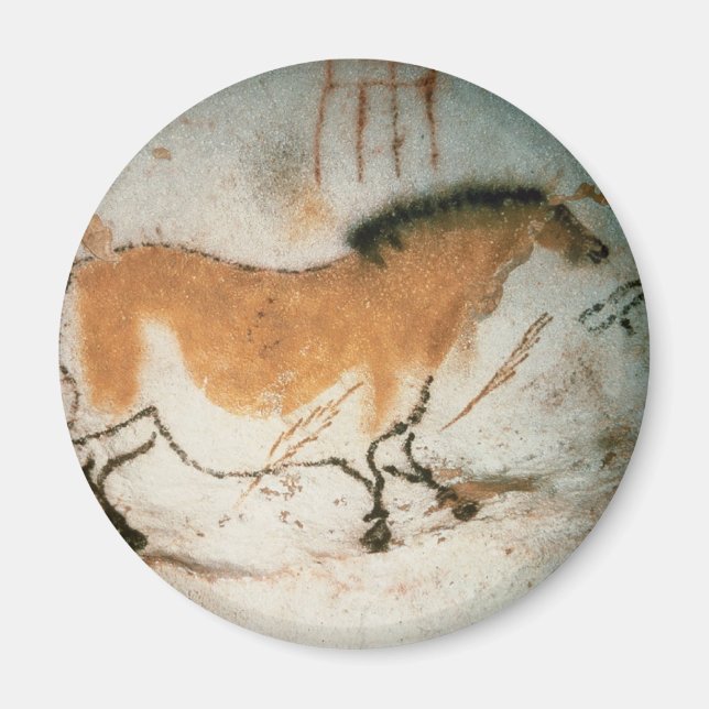 Cave drawings Lascaux French Prehistoric Magnet (Front)