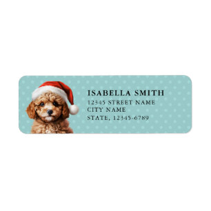 Cavoodle Return Address Labels