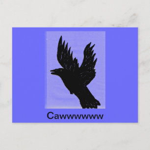 Cawwing Crow Postcard