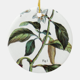 cayenne pepper Flower Ceramic Ornament