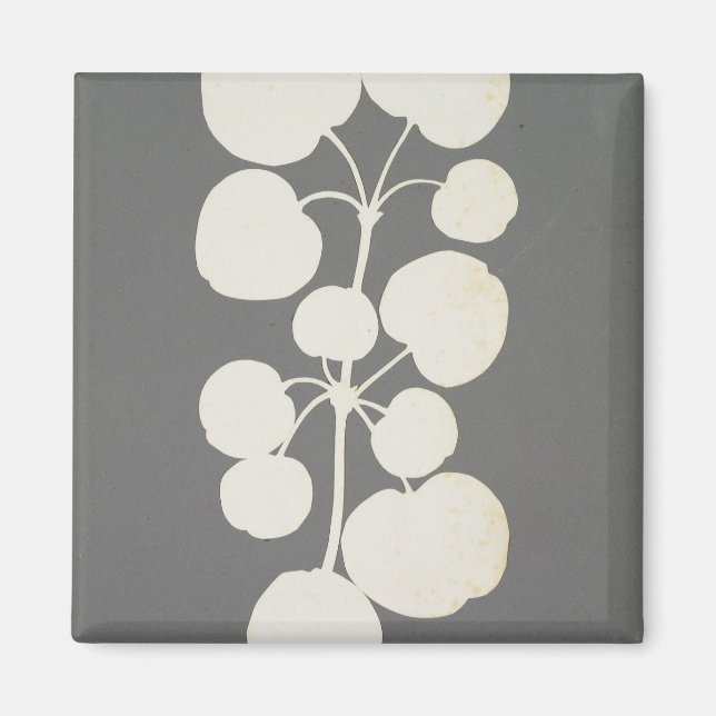 Cayenne Pepper Magnet (Front)