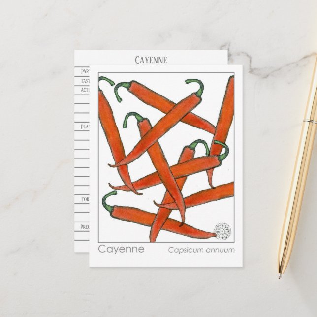 Cayenne Pepper Materia Medica Herbal Study Card (Front/Back In Situ)