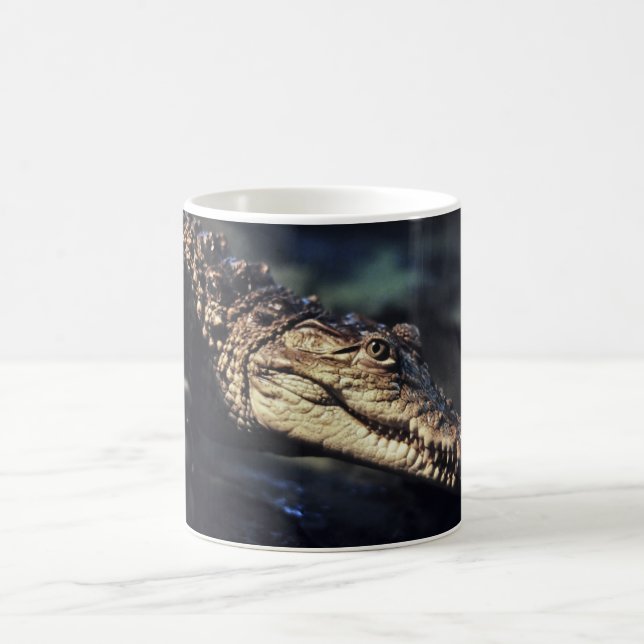 Cayman crocodile mug (Center)