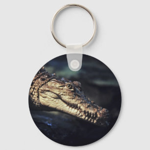 cayman crocodile photo keychain