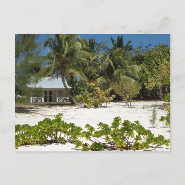 Cayman Islands Beach House Postcard (Front)