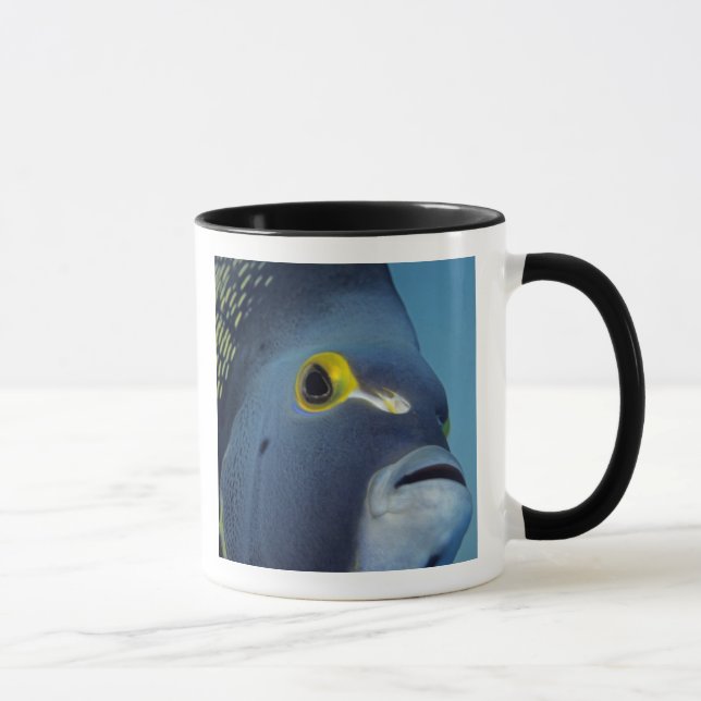 Cayman Islands, French Angelfish Pomacanthus Mug (Right)