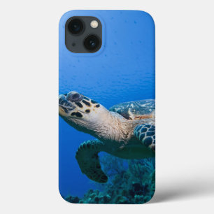 Cayman Islands, Little Cayman Island, Underwater 2 iPhone 13 Case