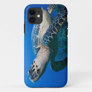 Cayman Islands, Little Cayman Island, Underwater 2 iPhone 11 Case
